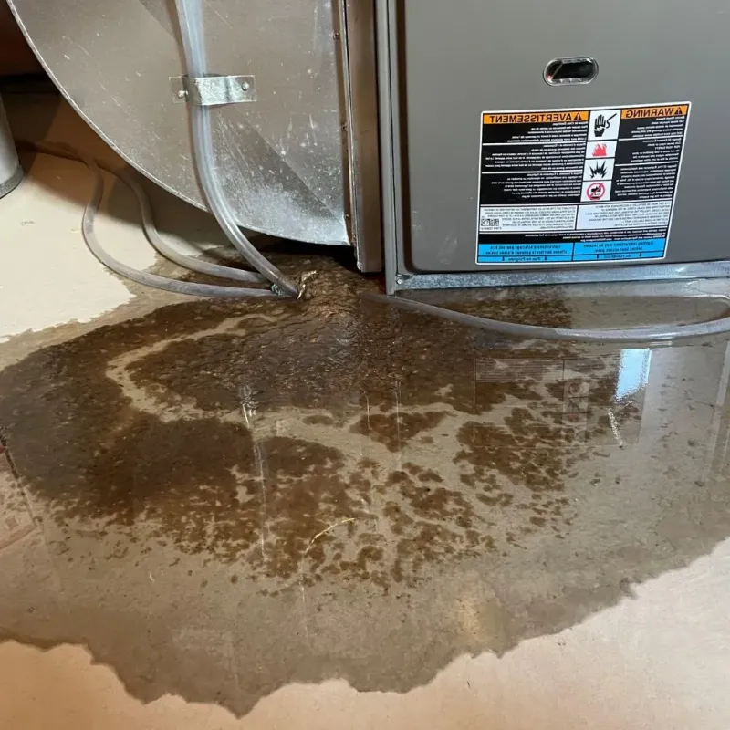 Pipe Burst and Leak Restoration in Lincoln County, GA